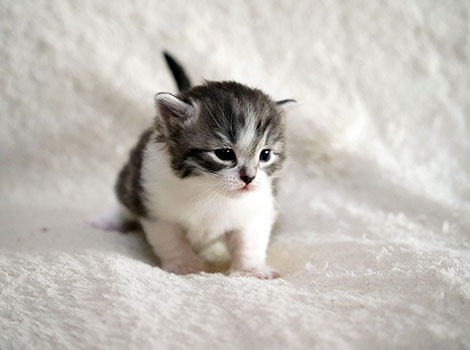 Narvik am 08.03.2025